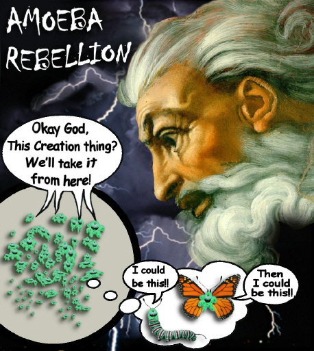 The Amoeba Rebellion